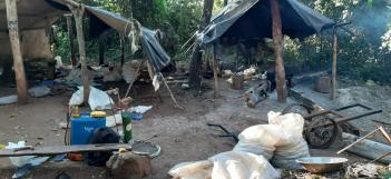 Capitán Bado: Destruyeron 16 campamentos narcos y más de 3 mil kilos de droga